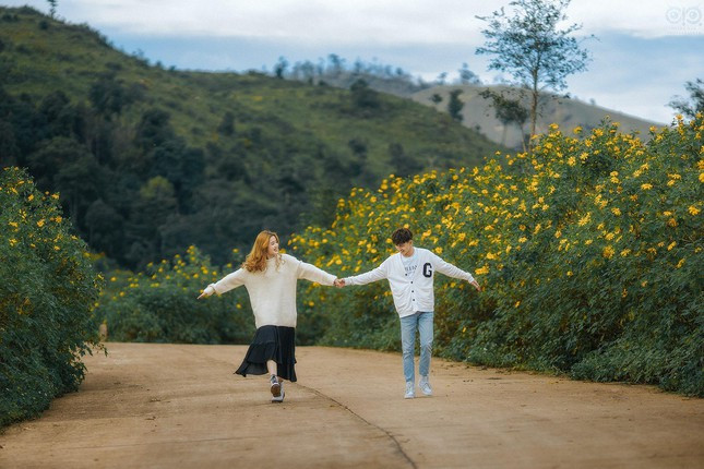 Những con đường tràn ngập sắc vàng hoa dã quỳ trở thành điểm check-in lý tưởng cho các bạn trẻ - Ảnh: Thành Nam