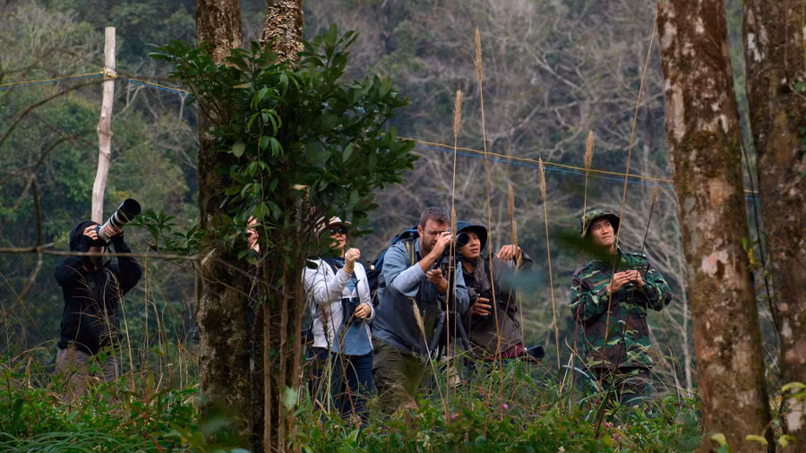 Đoàn du khách nước ngoài đi xem chim, chụp chim VN