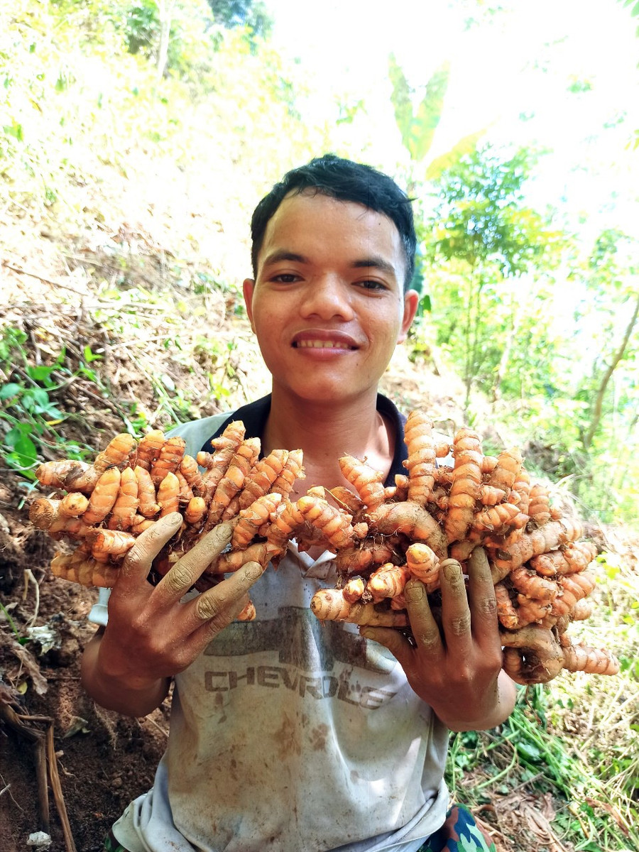 Những nội dung mà Brắc sản xuất xoay quanh lao động, thu hoạch nông sản, đời sống ở miền núi.