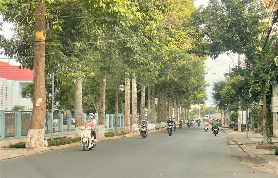 Đường Nguyễn Hữu Thọ không có vạch kẻ phân chia làn đường. Ảnh: Phan Tuấn Đường Nguyễn Hữu Thọ không có vạch kẻ phân chia làn đường. Ảnh: Phan Tuấn