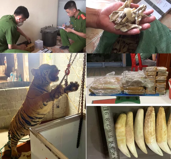 Tang vật được công an thu giữ