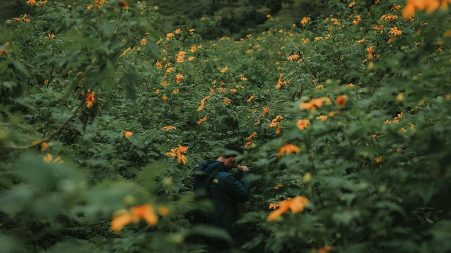 Hòa mình vào không gian núi rừng xanh ngát và thu được những bức ảnh tuyệt đẹp, trải nghiệm không thể bỏ qua khi ghé đến Chư Đăng Ya. Ảnh: Binh Nguyen