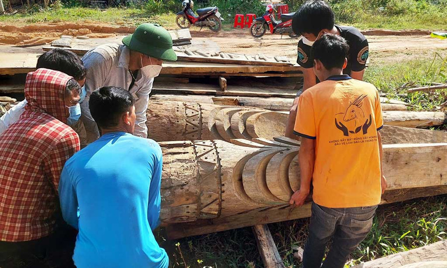 Tâm huyết với văn hóa của đồng bào mình, anh Pơloong Plênh đã thuê người chở xác nhà gươl về phục dựng