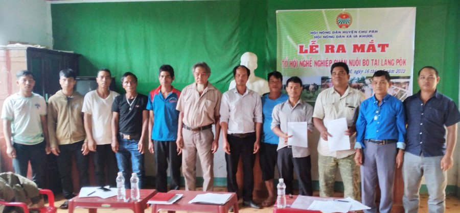 Tổ hội nghề nghiệp chăn nuôi bò tại làng Pôk có 11 thành ra mắt. Ảnh: Phạm Quý Các thành viên tổ hội nghề nghiệp chăn nuôi bò ra mắt. Ảnh: Phạm Quý