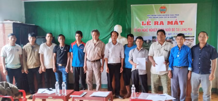  Các thành viên tổ hội nghề nghiệp chăn nuôi bò ra mắt. Ảnh: Phạm Quý