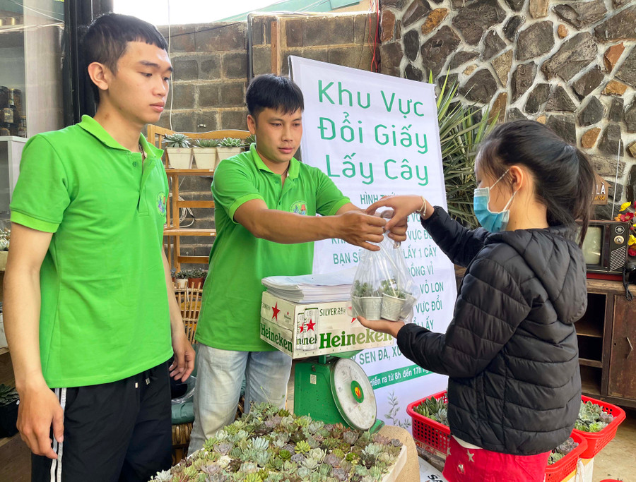 Em Nguyễn Bảo Nhi (lớp 4, Trường Tiểu học Lê Quý Đôn, TP. Pleiku) thích thú khi nhận đổi được những cây sen đá xinh xắn. Ảnh: Phương Vi