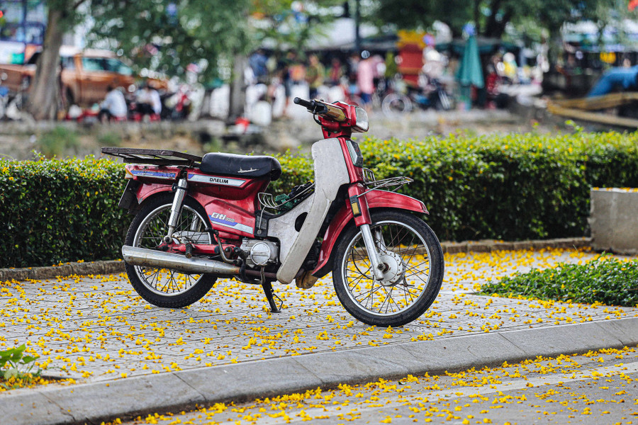 Sau những cơn gió nhẹ, từng cánh hoa điệp vàng rơi rụng xuống đường tạo nên một khung cảnh nên thơ, lãng mạn. Ảnh: Lê Hoài Nhân Sau những cơn gió nhẹ, từng cánh hoa điệp vàng rơi rụng xuống đường tạo nên một khung cảnh nên thơ, lãng mạn
