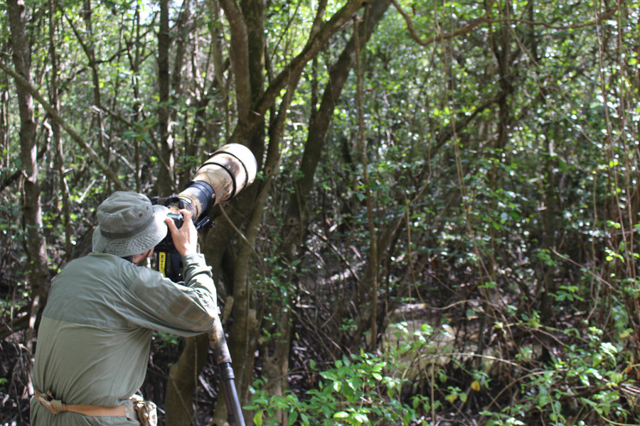 Một chú chim lọt vào tầm ngắm của nhiếp ảnh gia Nguyễn Trường Sinh. Ảnh: Quang Viên