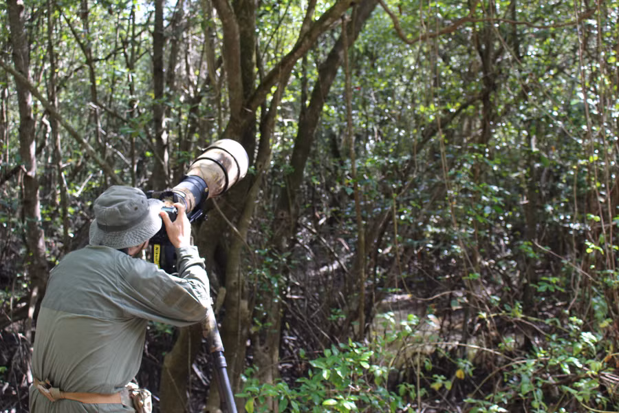 Một chú chim lọt vào tầm ngắm của nhiếp ảnh gia Nguyễn Trường Sinh. Ảnh: Quang Viên