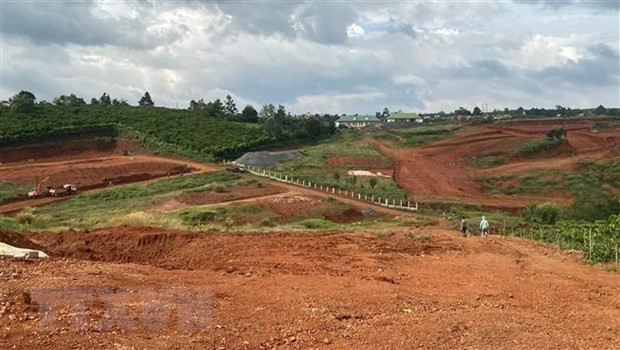 Ảnh minh họa: Nguyễn Dũng/TTXVN