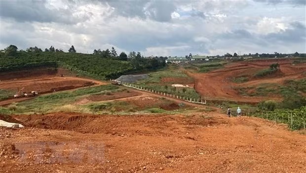 Ảnh minh họa: Nguyễn Dũng/TTXVN