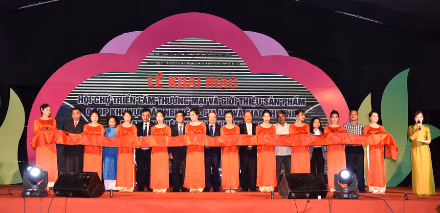 Lãnh đạo tỉnh và các đại biểu cắt băng khai mạc. Ảnh: Đức Thụy