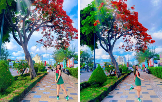 Ảnh: Quang Thành Media, Trần Độ Đình Đại, Linh Lương 