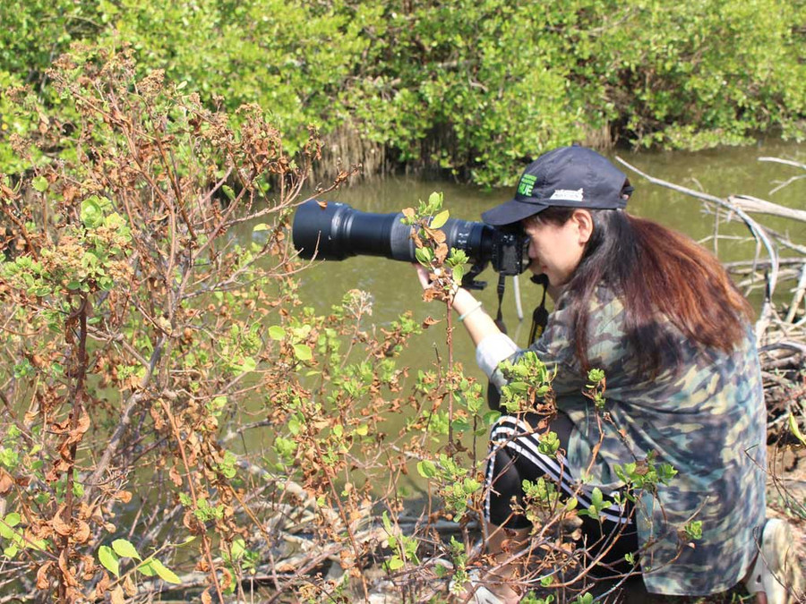 Chị Quỳnh Trâm chụp chim ở Cần Giờ. Ảnh: Quang Viên