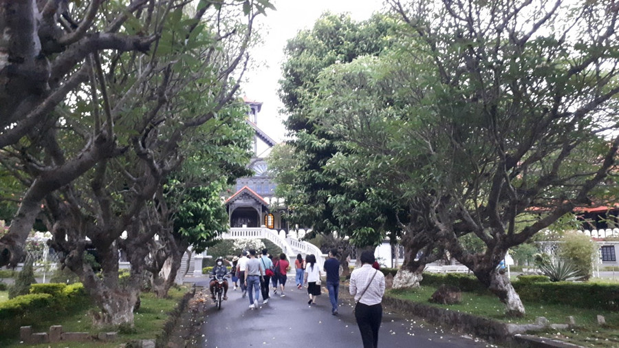 Lối vào chủng viện Kon Tum cách đó không xa nổi bật có hàng hoa sứ khá đẹp.