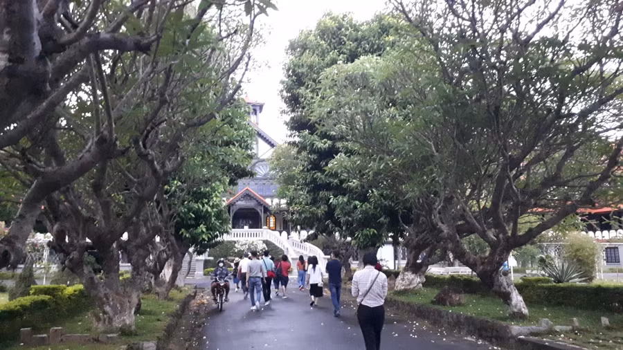 Lối vào chủng viện Kon Tum cách đó không xa nổi bật có hàng hoa sứ khá đẹp.