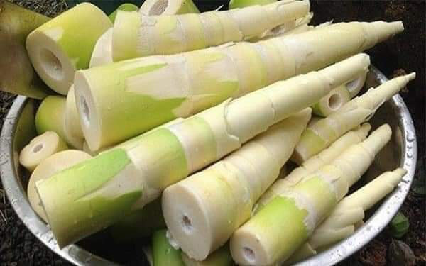 Cầm 50.000 đồng trên tay, già Ama Phui hớn hở ra về, miệng liên tục hẹn chiều hôm sau sẽ mang ra nhiều măng đẹp hơn.