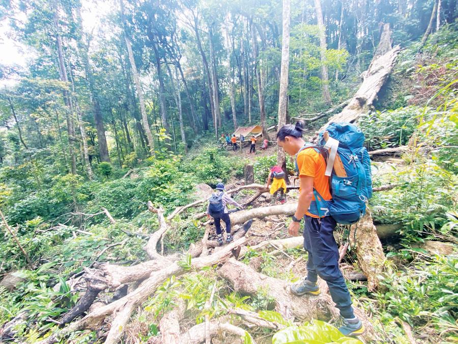 Động vật bán hoang dã được chăm sóc tại Trung tâm Cứu hộ, Bảo tồn và Phát triển sinh vật. Ảnh: Minh Châu