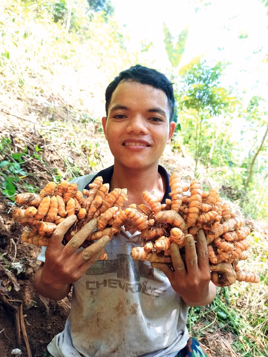 Những nội dung mà Brắc sản xuất xoay quanh lao động, thu hoạch nông sản, đời sống ở miền núi.