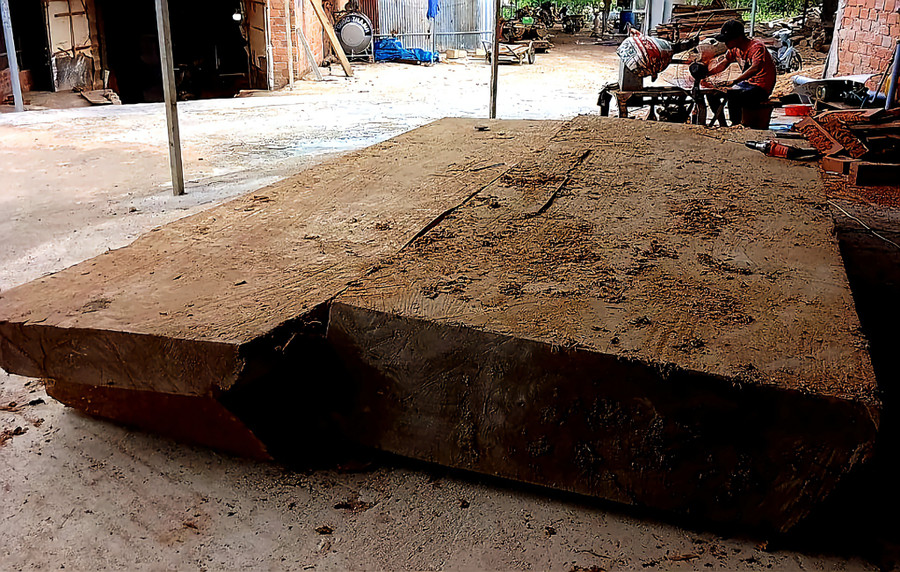 Đào gỗ lên hơn 1 tháng nhưng không thấy chính quyền đến xử lý, ông Nam đã đưa về 1 xưởng gỗ để cưa xẻ. Ảnh: NVCC