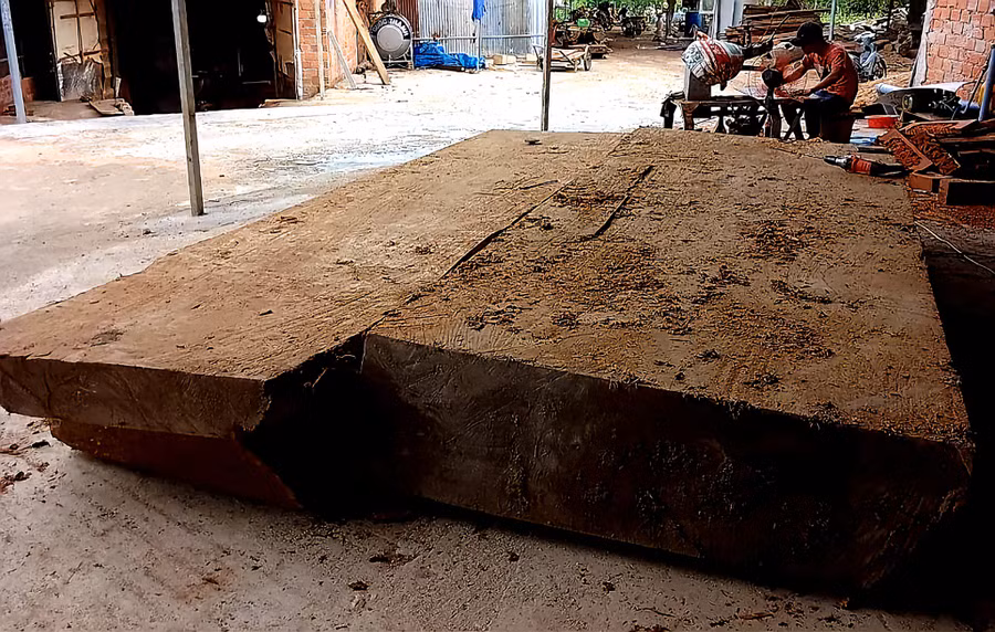 Đào gỗ lên hơn 1 tháng nhưng không thấy chính quyền đến xử lý, ông Nam đã đưa về 1 xưởng gỗ để cưa xẻ. Ảnh: NVCC