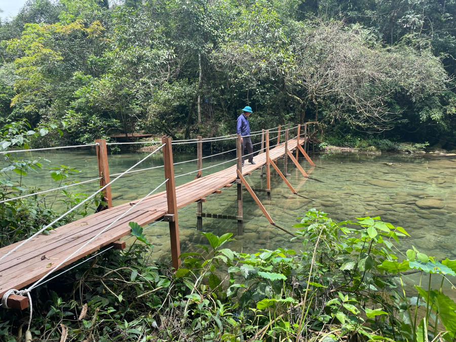 Cầu được dựng trái phép ở khu vực suối Chà Cùng. Ảnh: Bá Cường