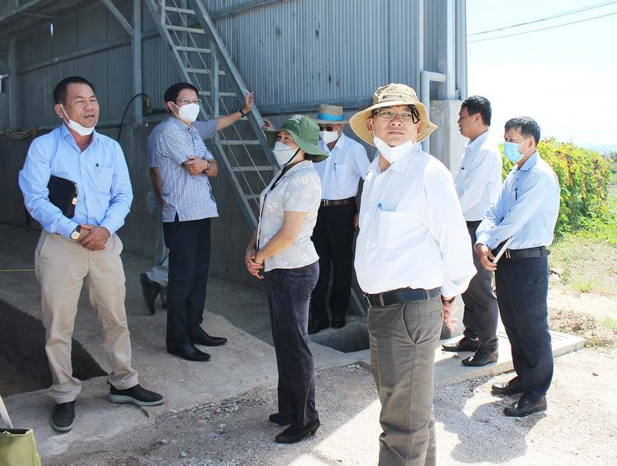 Giám sát tại Công ty TNHH một thành viên Phúc Huy Gia Lai. Ảnh: Nguyễn Diệp