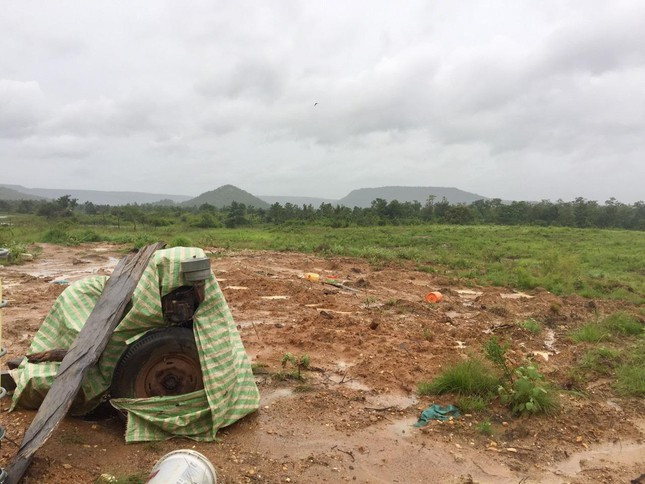  Khu vực 34 ha rừng phòng hộ bị cày ủi để trồng bạch đàn trái phép. Ảnh nguồn TPO