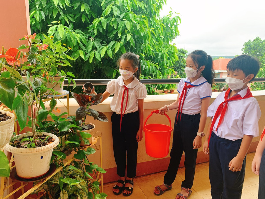 Việc cho học sinh trồng và chăm sóc cây xanh cũng đã giúp cho trường học của trường Tiểu học Hùng Vương thêm xanh sạch đẹp. Ảnh: Hồng Thương