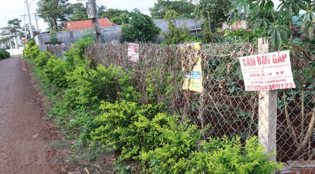 Các biển quảng cáo bán đất nền chi chít. (Ảnh: Hồng Điệp/TTXVN)