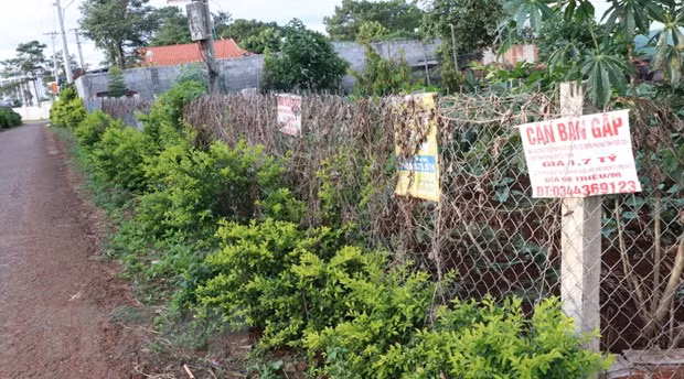 Các biển quảng cáo bán đất nền chi chít. (Ảnh: Hồng Điệp/TTXVN)