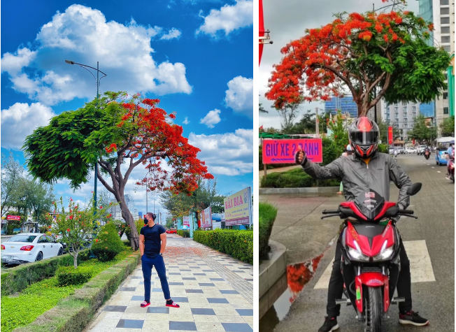 Ảnh: Đỗ Mai Phương, Đức Lộc, Tý Đô