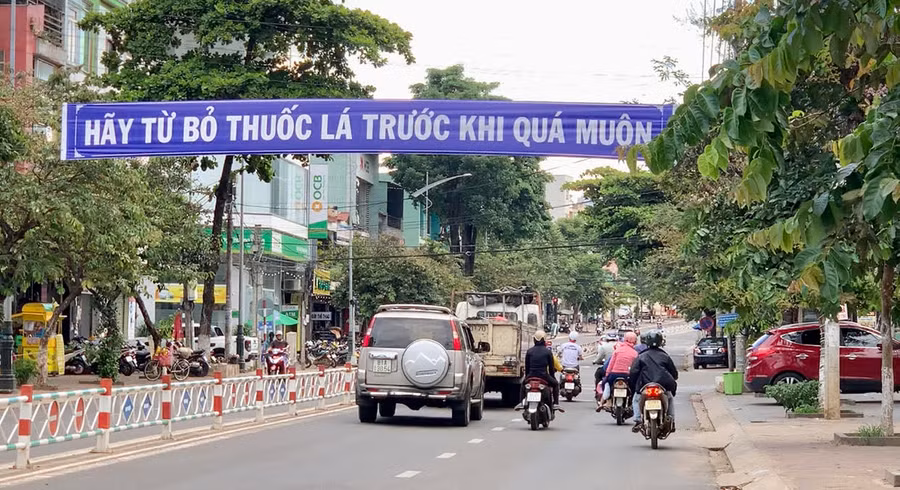  Ảnh: Như Nguyện