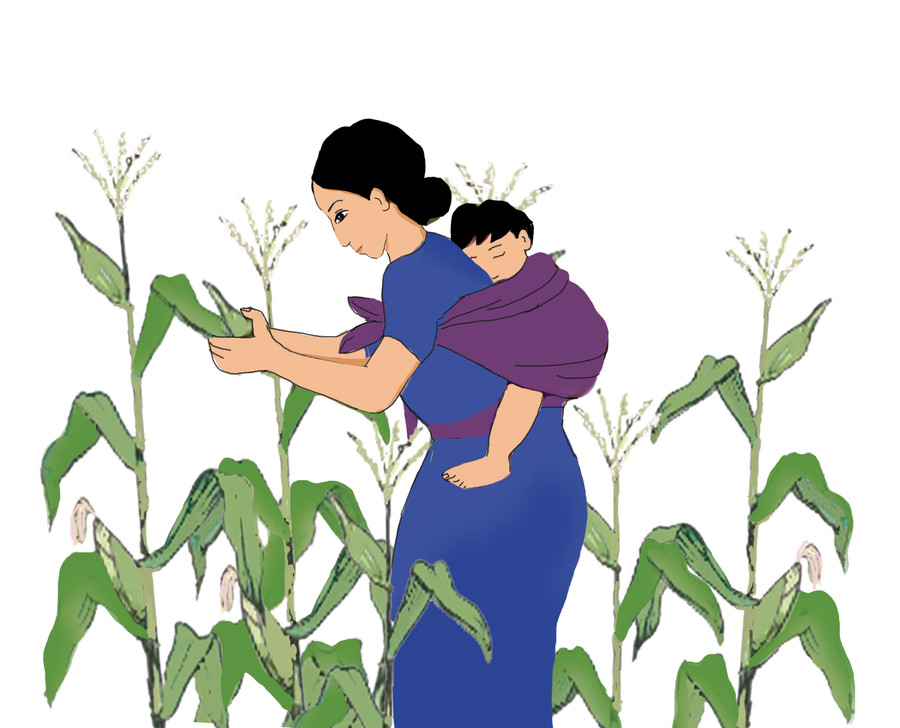 Minh họa: Huyền Trang Minh họa: Huyền Trang