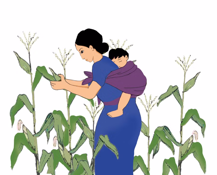 Minh họa: Huyền Trang