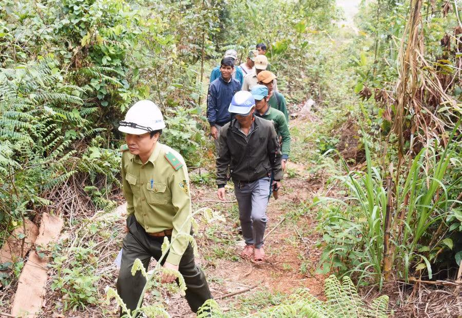 Lực lượng tổ liên ngành xã Kon Pne tổ chức tuần tra bảo vệ rừng. Ảnh: Minh Nguyễn