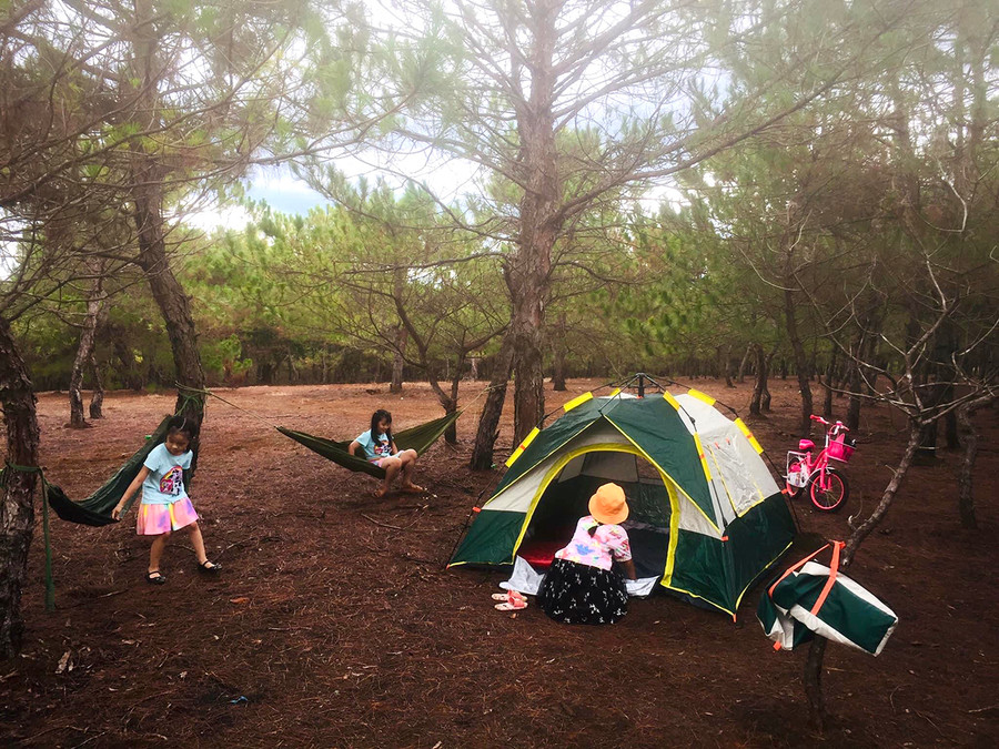  Con của anh Phiệt và các bạn vui chơi thỏa thích khi đi cắm trại trên đồi thông Diên Phú. Ảnh: Lê Hòa