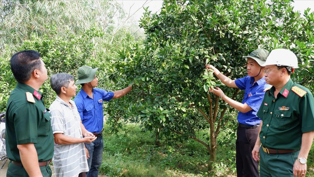 Cán bộ chiến sĩ Đoàn 207 và những trí thức trẻ bên mô hình vườn cam Vinh của gia đình ông A Lăng Rơng Cán bộ chiến sĩ Đoàn 207 và những trí thức trẻ bên mô hình vườn cam Vinh của gia đình ông A Lăng Rơng