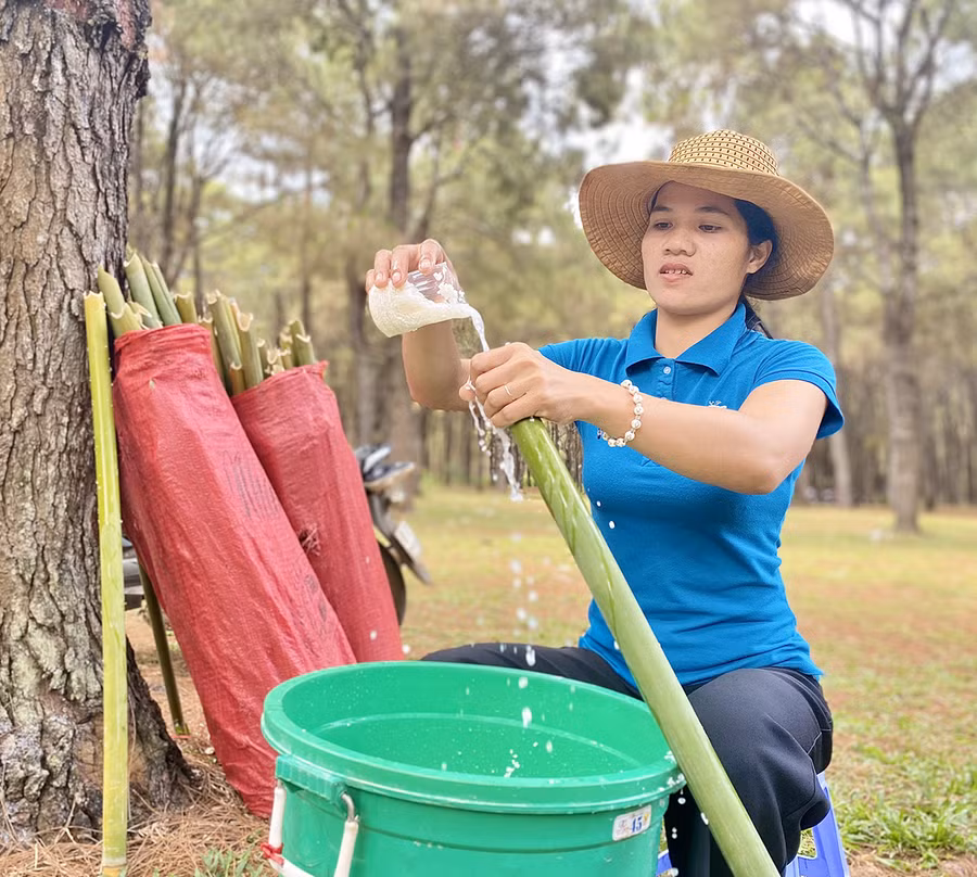 Chị H'Soanh (làng Choet Ngol, phường Thắng Lợi, TP. Pleiku) chuẩn bị các ống cơm lam để phục vụ du khách tại khu vực đồi thông xã Ia Dêr (huyện Ia Grai). Ảnh: Mộc Trà