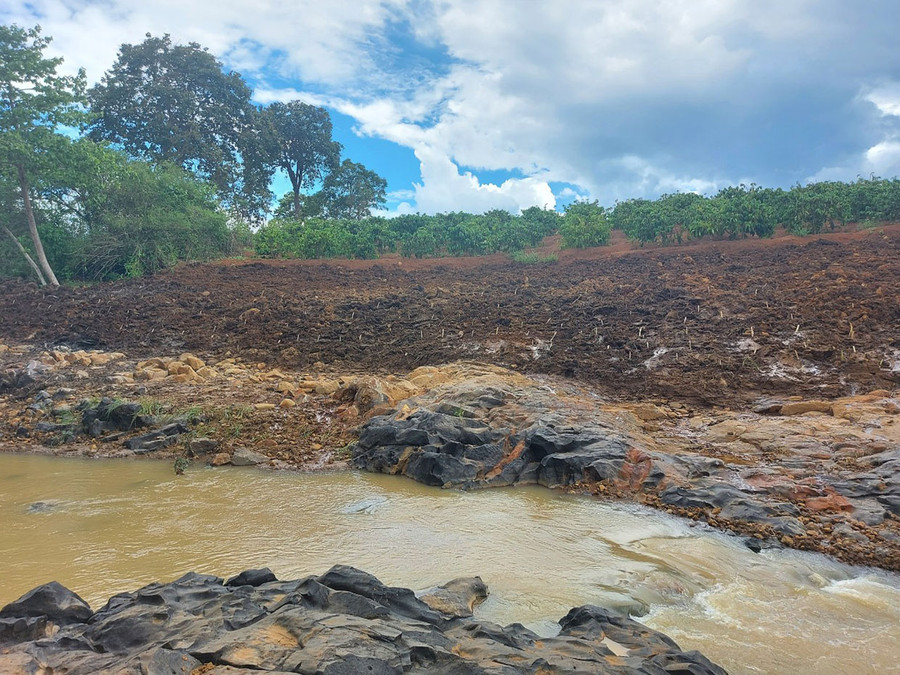  Trên mặt đất đã bồi hoàn có trồng thêm nhiều loại cây. Ảnh: Hoành Sơn
