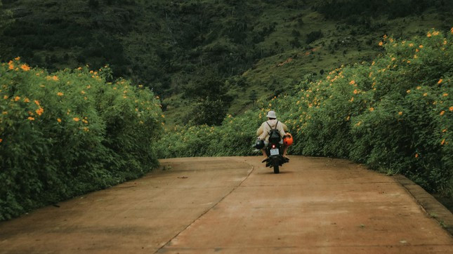 Vào mùa mưa, dù không đồng loạt bung nở nhưng những bụi dã quỳ lác đác dọc đường lên núi cũng đủ khiến lòng người ngất ngây. Ảnh: Binh Nguyen