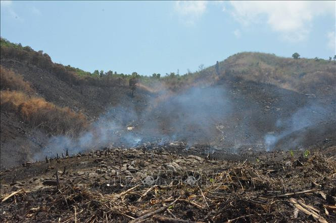 Diện tích đất rừng bị “cạo trọc”, đốt trụi để chuẩn bị sản xuất nông nghiệp tại xã Đắk Phơi, huyện Lắk thuộc lâm phần Công ty Cổ phần Tập đoàn Tân Mai quản lý. 