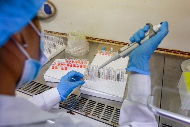 Ảnh minh họa. Ảnh: TTXVN/Vietnam+