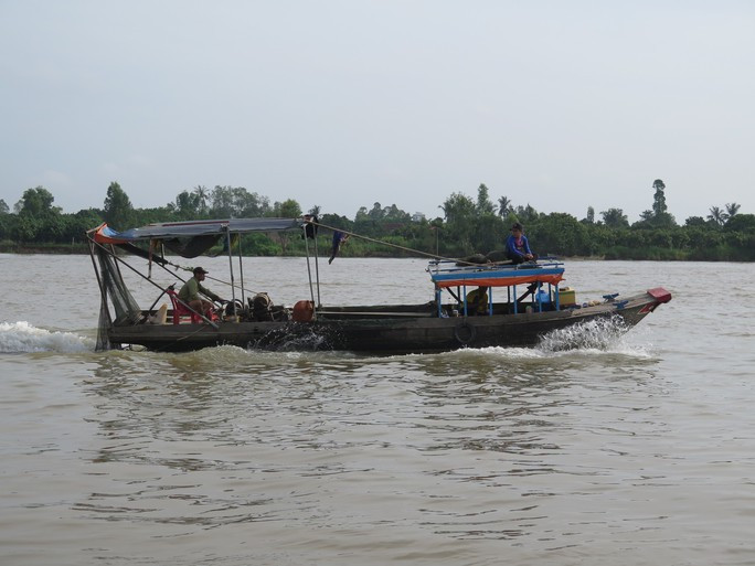 Ghe cào cá trên sông Hậu