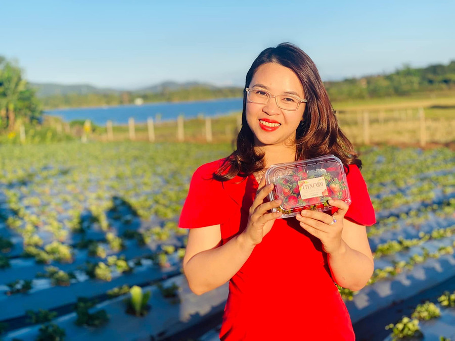  Chị Phan Thị Hoài Thu với sản phẩm dâu tây của Upes Farm. Ảnh: Minh Nhật