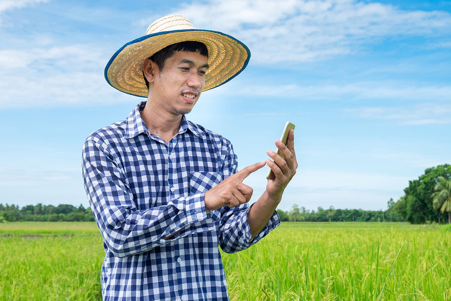 Điện thoại thông minh ngày càng phổ biến từ thành thị tới nông thôn. Điện thoại thông minh ngày càng phổ biến từ thành thị tới nông thôn.