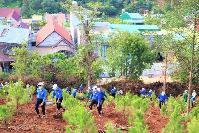 Đông đảo đoàn viên thanh niên Đắk Nông tham gia Ngày hội trồng cây