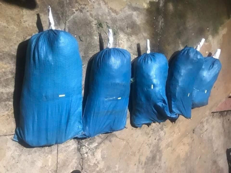 Số cần sa được thu giữ tại nhà các đối tượng. Số cần sa được thu giữ tại nhà các đối tượng.