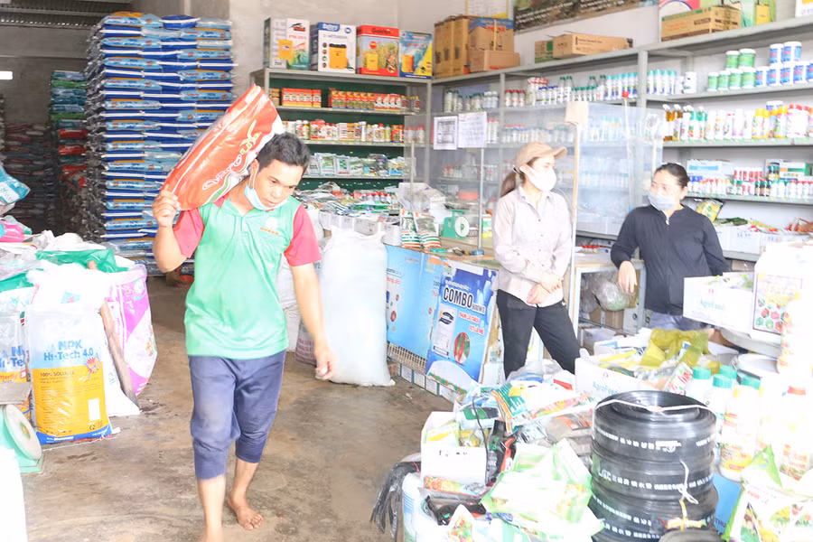 Giá phân bón tăng cao đã ảnh hưởng không nhỏ đến sản xuất của người dân. Ảnh: Quang Tấn