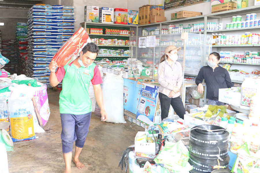 Giá phân bón tăng cao đã ảnh hưởng không nhỏ đến sản xuất của người dân. Ảnh: Quang Tấn Giá phân bón tăng cao đã ảnh hưởng không nhỏ đến sản xuất của người dân. Ảnh: Quang Tấn